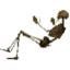 Skeleton